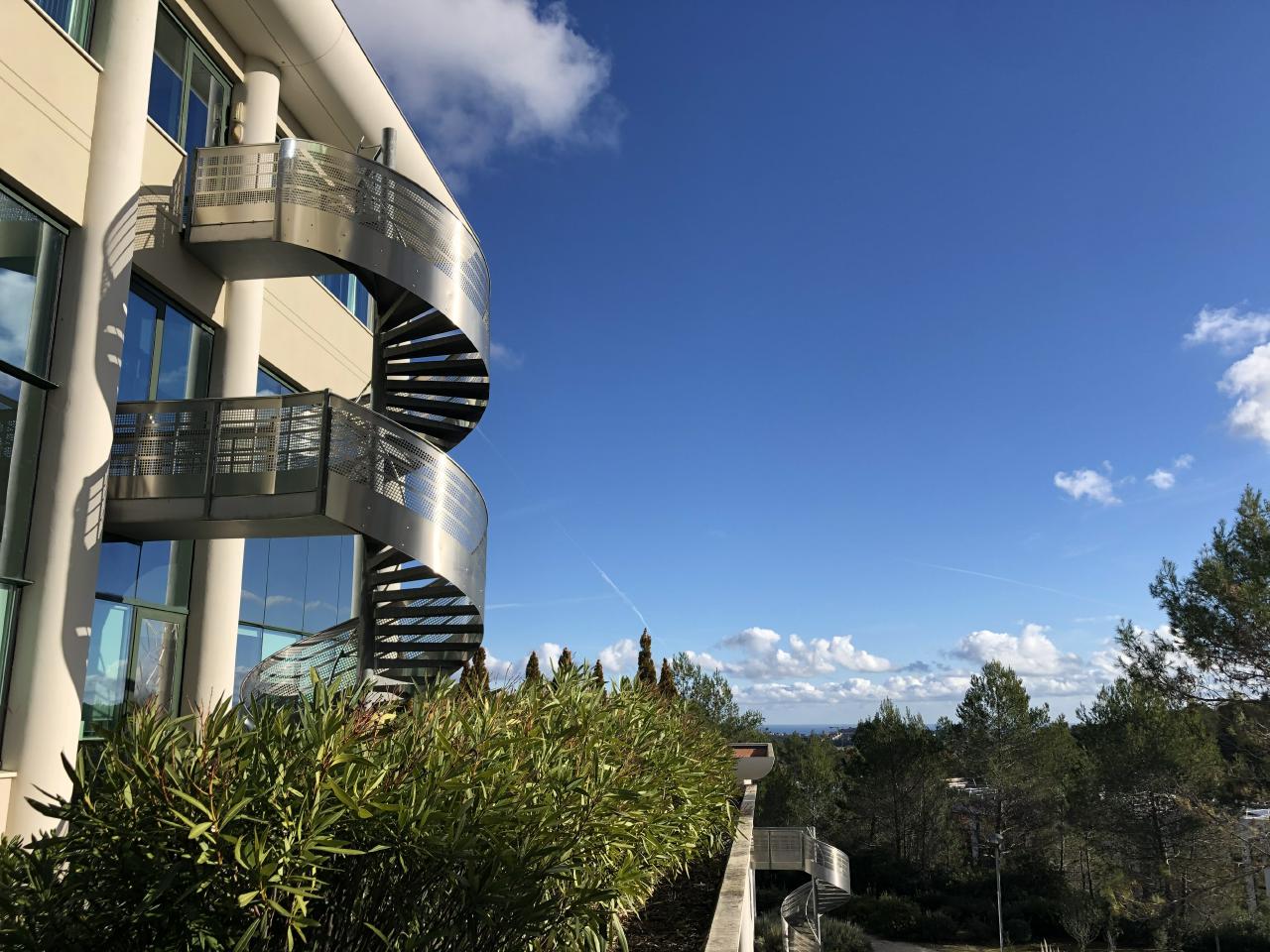Bureau Sophia Antipolis 1917m² Location bureau Sophia Antipolis Alpes-Maritimes OLBUR2119902 4